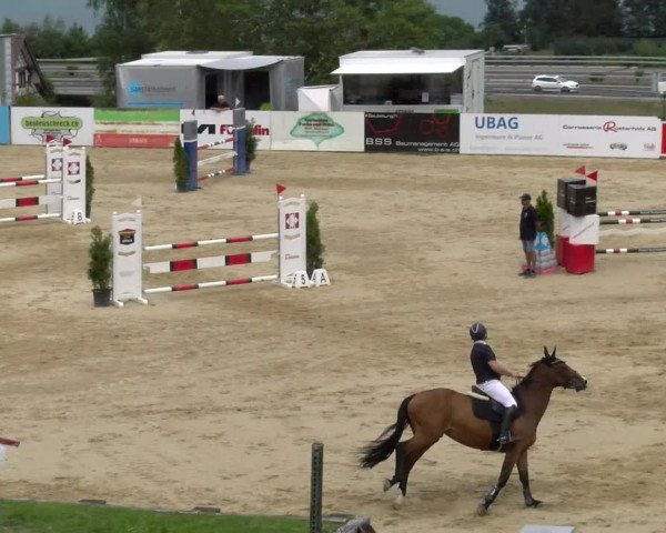 Reitturnier Wädenswil 2023