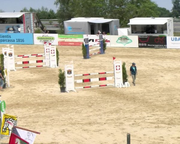Reitturnier Wädenswil 2023