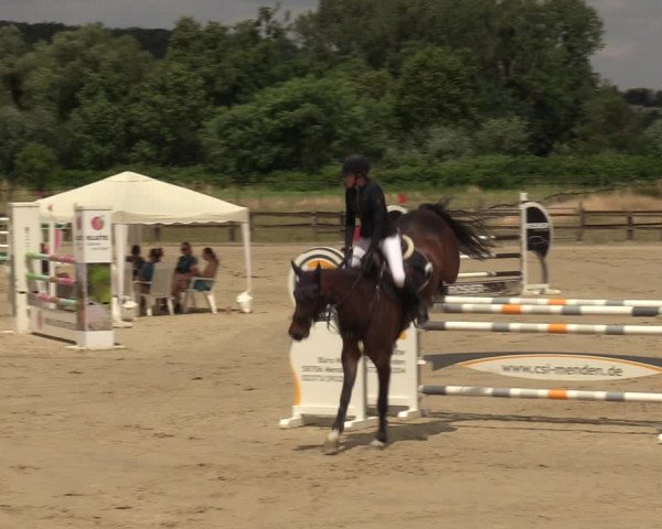 Reitturnier Hemer 2023