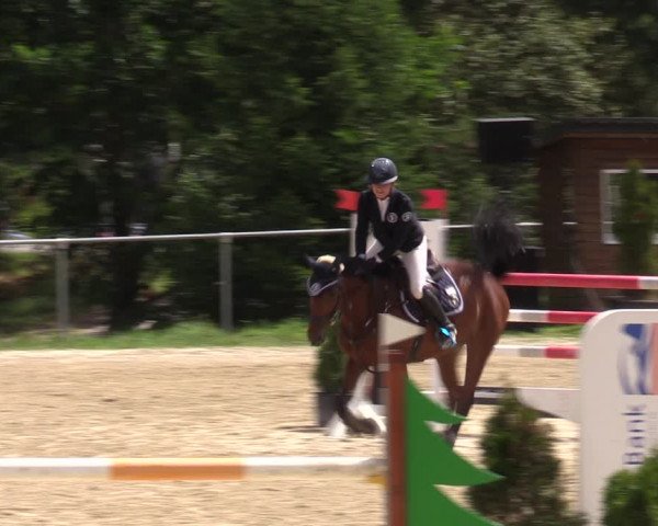 Reitturnier Bad Liebenstein/Sorga 2023