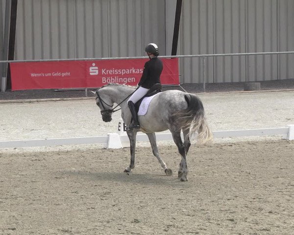 Reitturnier Ehningen 2023