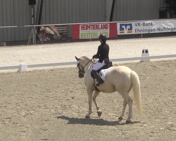 Reitturnier Ehningen 2023
