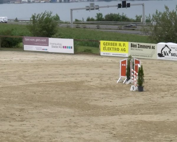 Reitturnier Wädenswil 2023