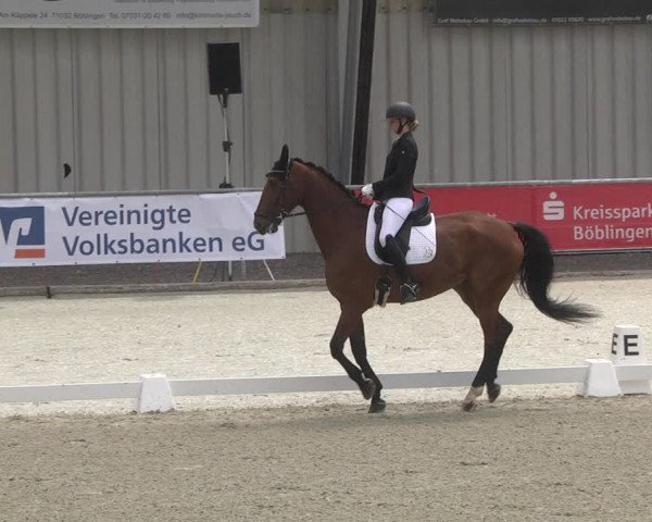 Reitturnier Ehningen 2023