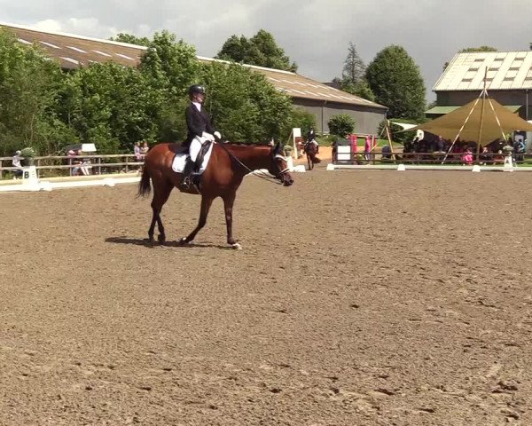Reitturnier Kleinsolt 2023