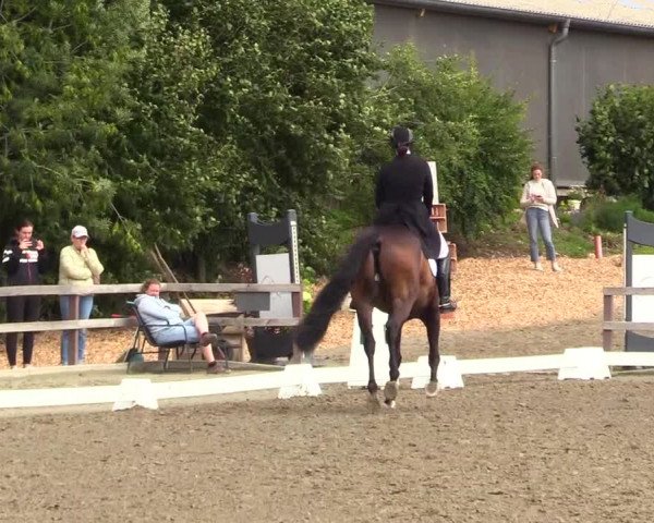 Reitturnier Kleinsolt 2023