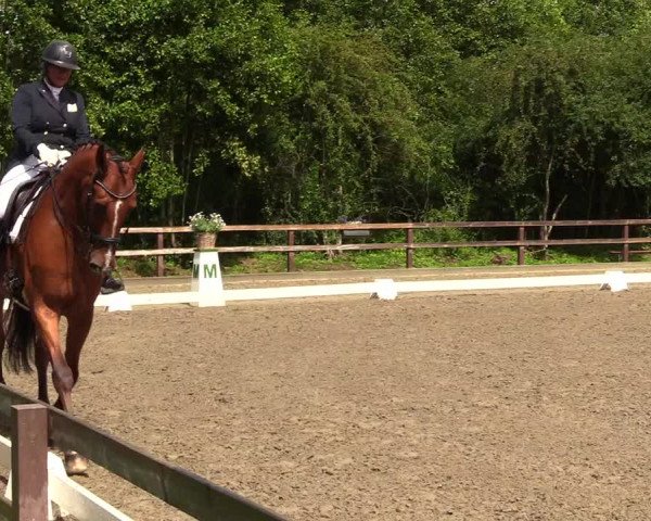 Reitturnier Kleinsolt 2023