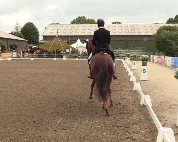 Reitturnier Kleinsolt 2023