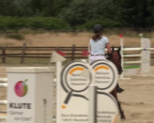Reitturnier Hemer 2023