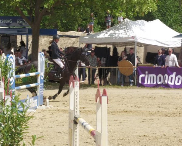 Reitturnier Heiligenwald 2023