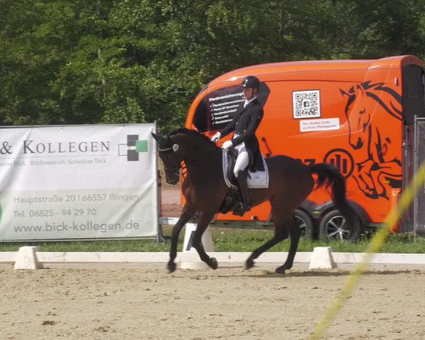 Reitturnier Heiligenwald 2023