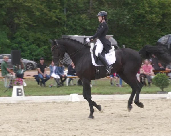 Reitturnier Heiligenwald 2023