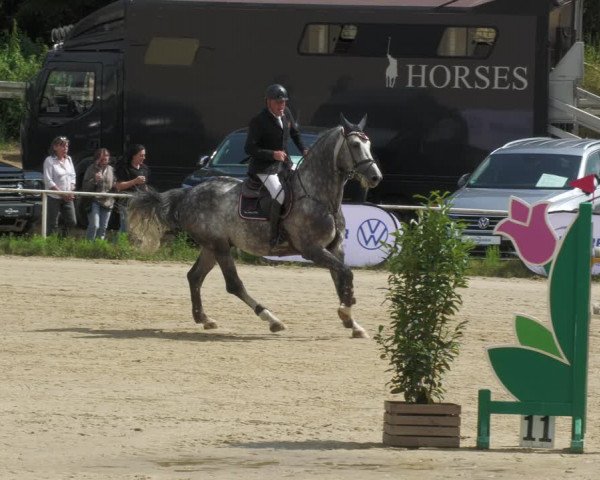 Reitturnier Heiligenwald 2023