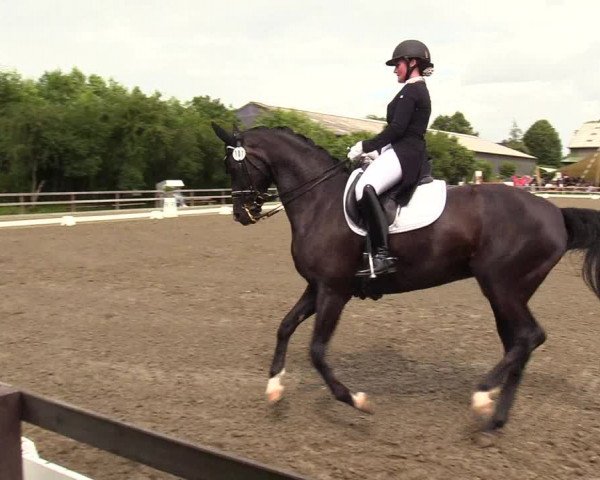 Reitturnier Kleinsolt 2023