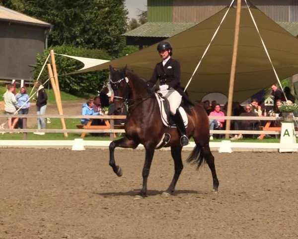 Reitturnier Kleinsolt 2023