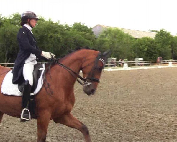Reitturnier Kleinsolt 2023