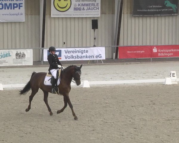 Reitturnier Ehningen 2023