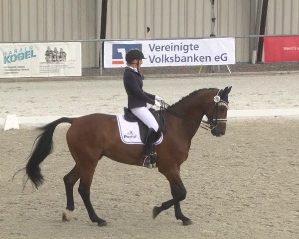 Reitturnier Ehningen 2023