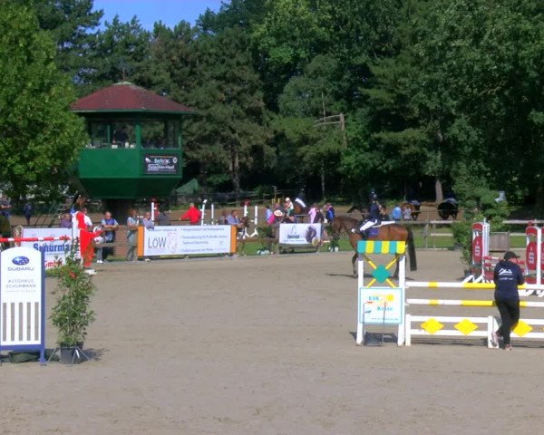 Reitturnier Barlo-Bocholt 2023