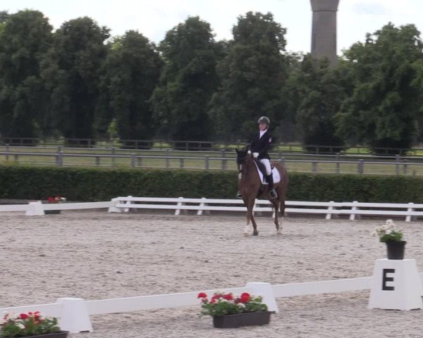 Reitturnier Neustadt/Dosse 2023