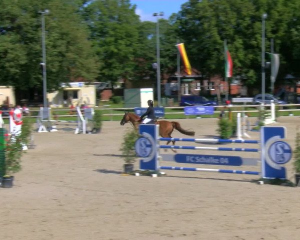 Reitturnier Barlo-Bocholt 2023