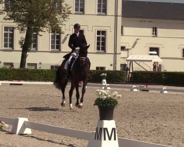 Reitturnier Neustadt/Dosse 2023