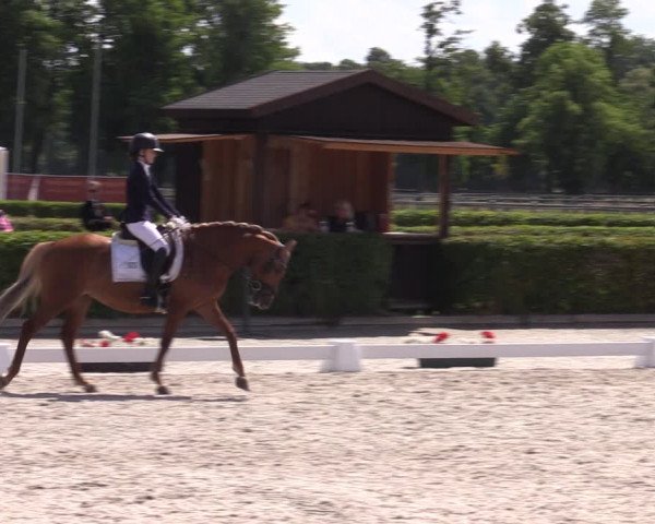 Reitturnier Neustadt/Dosse 2023