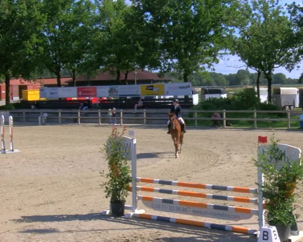 Reitturnier Barlo-Bocholt 2023