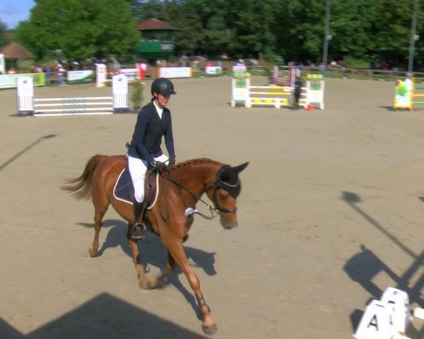 Reitturnier Barlo-Bocholt 2023