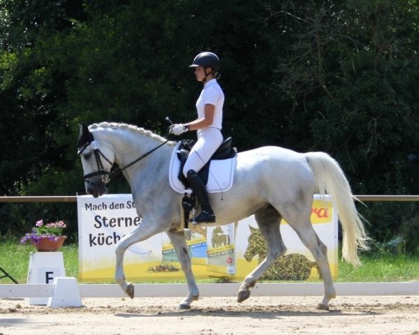 Springpferd Silver Jeannie (Irish Sport Horse, 2010)