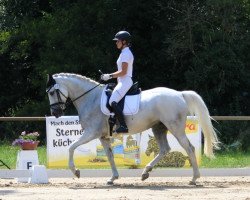jumper Silver Jeannie (Irish Sport Horse, 2010)