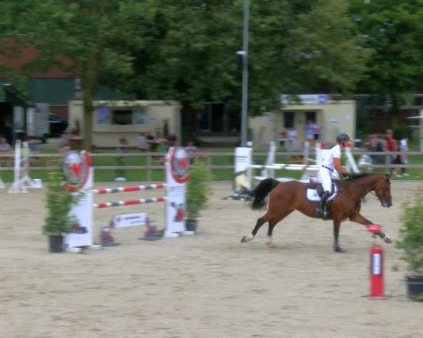 Reitturnier Barlo-Bocholt 2023