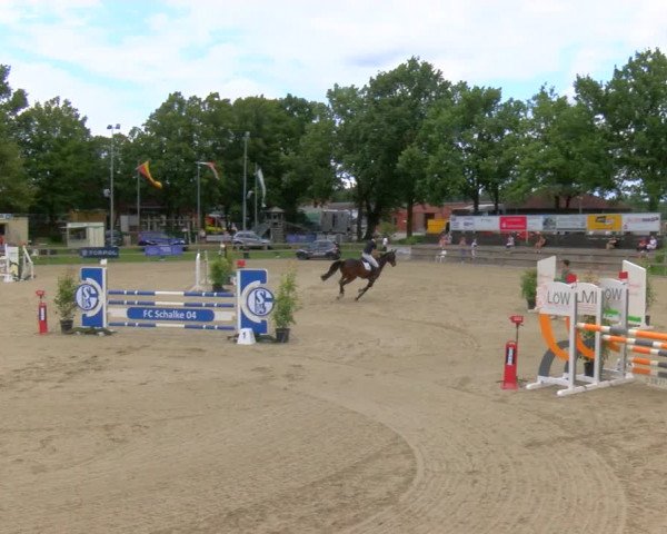Reitturnier Barlo-Bocholt 2023