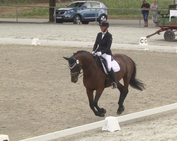 Reitturnier Ehningen 2023
