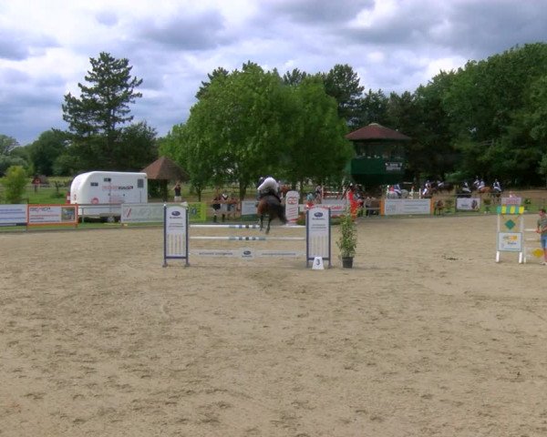 Reitturnier Barlo-Bocholt 2023