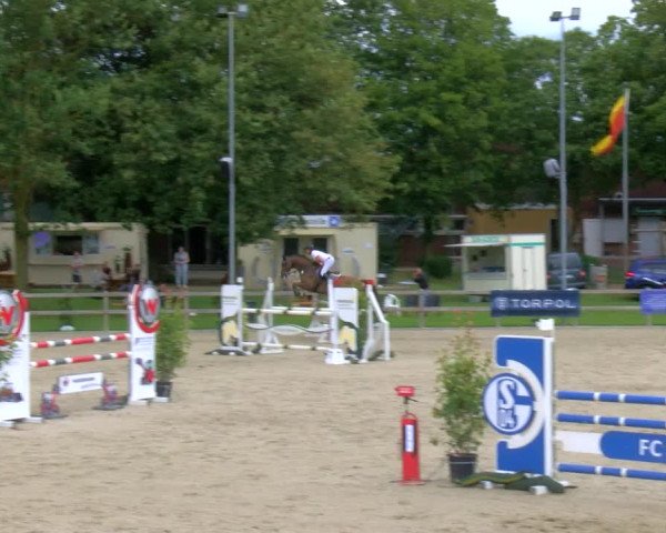 Reitturnier Barlo-Bocholt 2023