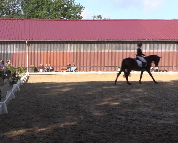 Reitturnier Marienheide-Kempershöhe 2023