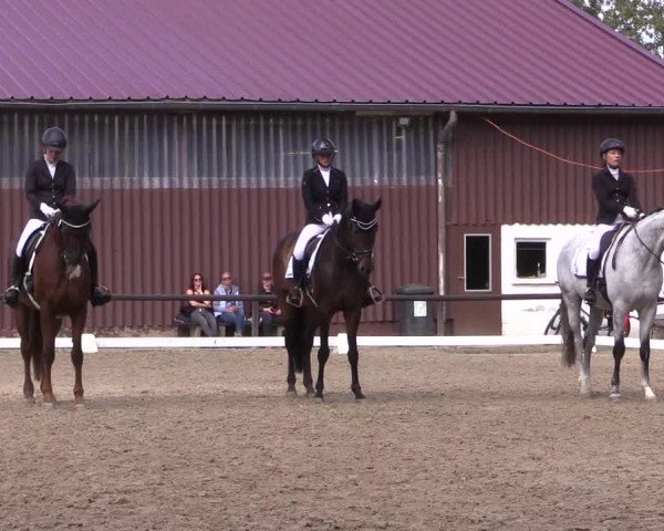 Reitturnier Marienheide-Kempershöhe 2023