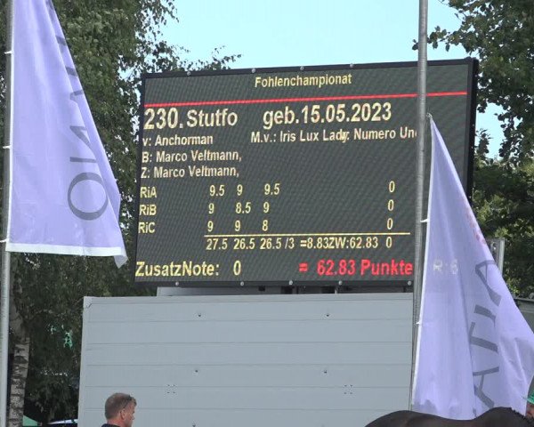 Horse24 Deutsches Fohlenchampionat 2023