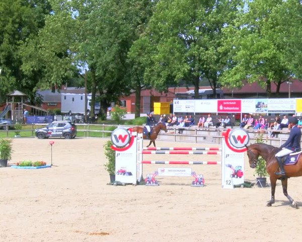 Reitturnier Barlo-Bocholt 2023