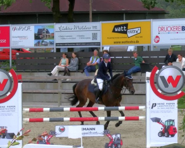 Reitturnier Barlo-Bocholt 2023