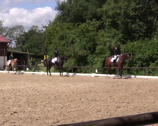 Reitturnier Marienheide-Kempershöhe 2023