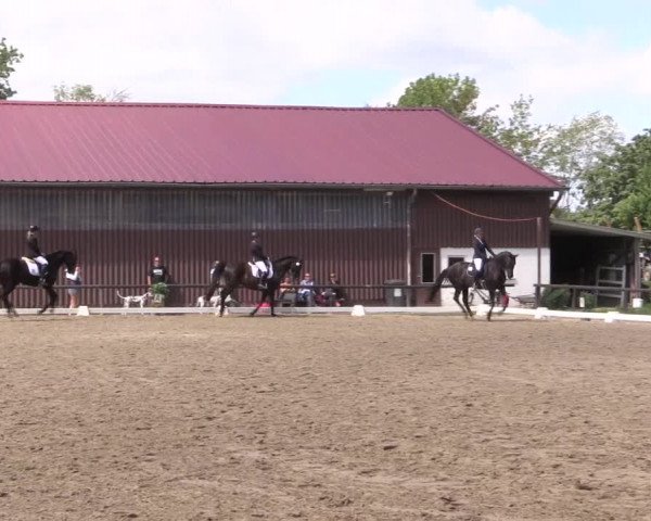 Reitturnier Marienheide-Kempershöhe 2023