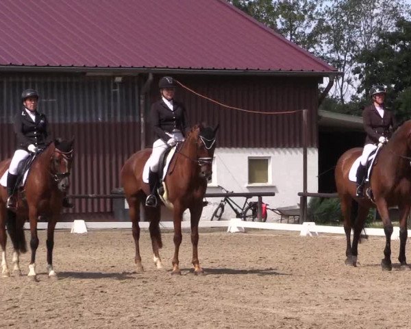 Reitturnier Marienheide-Kempershöhe 2023
