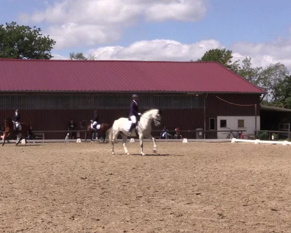 Reitturnier Marienheide-Kempershöhe 2023