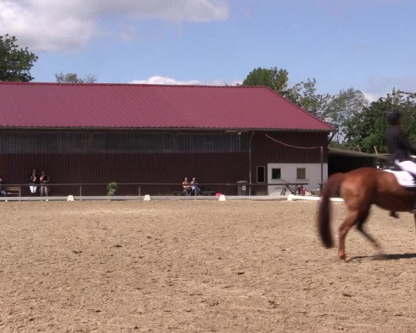 Reitturnier Marienheide-Kempershöhe 2023
