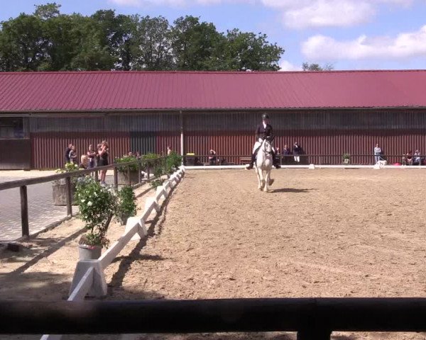 Reitturnier Marienheide-Kempershöhe 2023