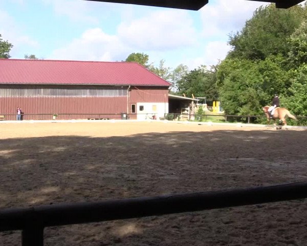 Reitturnier Marienheide-Kempershöhe 2023