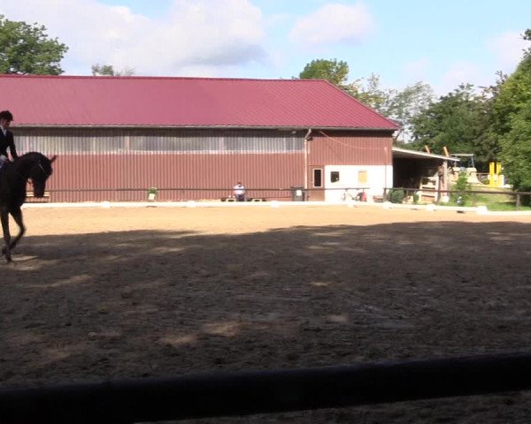 Reitturnier Marienheide-Kempershöhe 2023