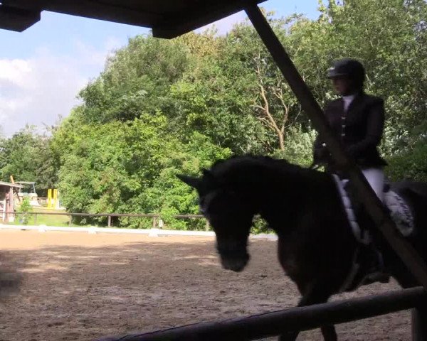 Reitturnier Marienheide-Kempershöhe 2023